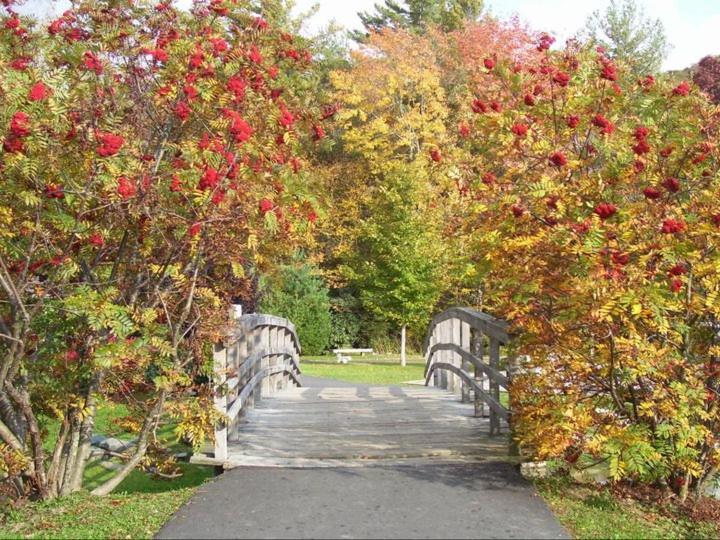 The Banner Elk Inn B&B Bagian luar foto